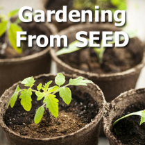 https://www.hillermann.com/blog/2020/2/7/gardening-from-seed